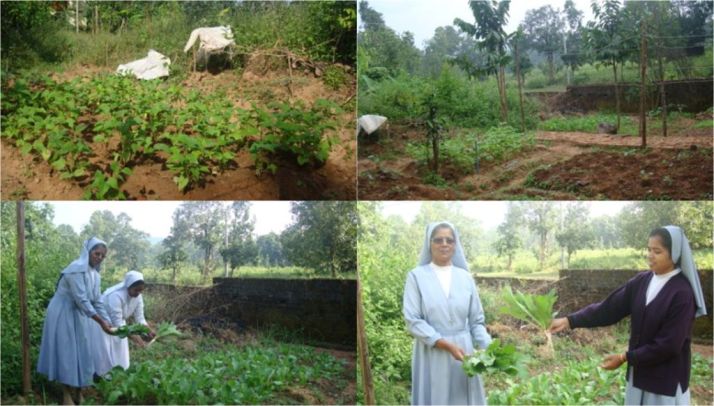 garden at Kurtumgarh.jpg