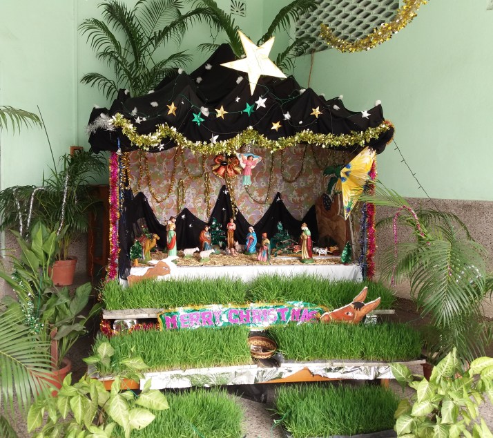 Crib- Auxilium Dum Dum..jpg